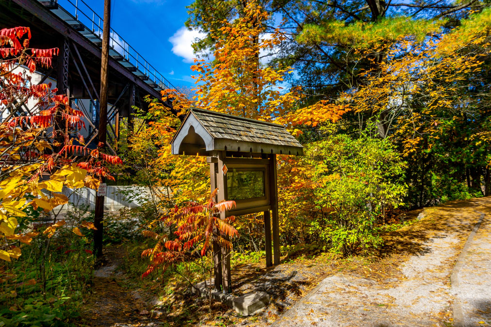 Park trail with bridge in autumn